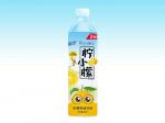 柠小檬2元抢购系列500ml x24