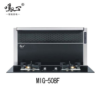 JJZT-LX6-ZK---MIG-508F