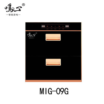 MIG-09G