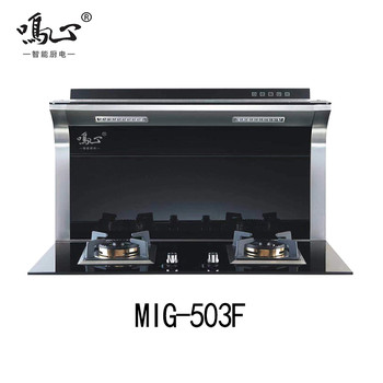 JJZT-LX6-ZK---MIG-503F