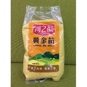 黄金苗