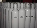 Electronic level CL2