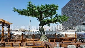 北京市八一中学屋顶花园