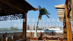 北京市八一中学屋顶花园