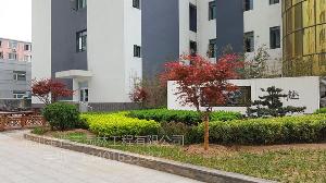 学校工程