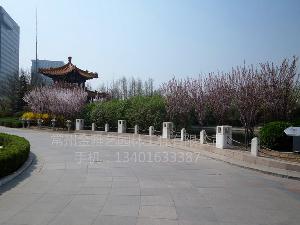 案例