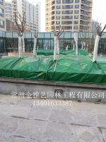 绿化养护