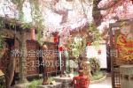 生态餐厅 酒店 公园