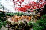 生态餐厅 酒店 公园