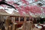 生态餐厅 酒店 公园
