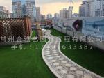 北京市八一中学屋顶花园9