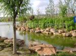 驳岸，护岸，水系 (4)