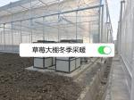 空气能热泵助力草莓温室大棚恒温越冬