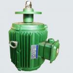 YLF系列冷却塔电机12-1.5Kw