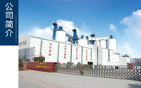 新鄉市大新環保科技有限公司（大新鈣業）