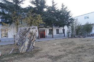 厂区环境