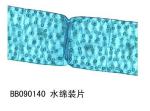 Spiragyra w.m.