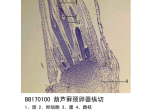 葫芦藓颈卵器纵切