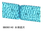 水绵装片