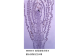 狐尾藻茎尖纵切