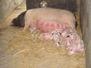 比在娘肚子里还舒服