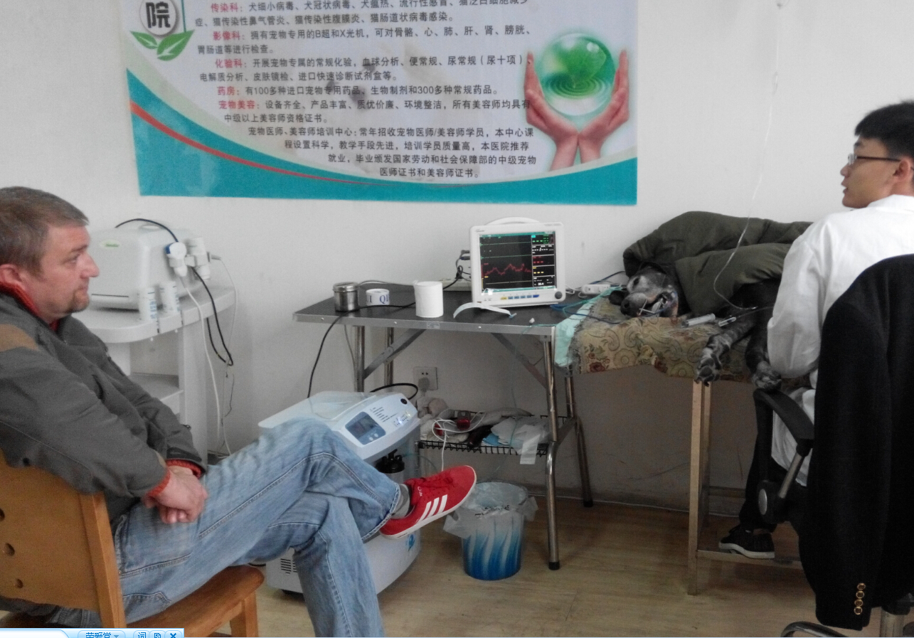 洛阳市洛龙区狗博士宠物医院-产品列表-聚企360平台